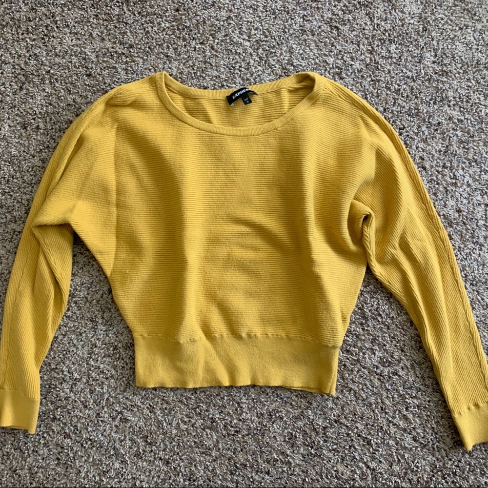 Final Price: Express ribbed sweater